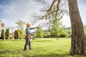 Best Tree Health Inspection  in Heyburn, ID